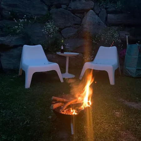 Dans ليه كولون